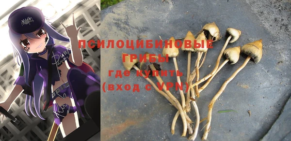 винт Магас