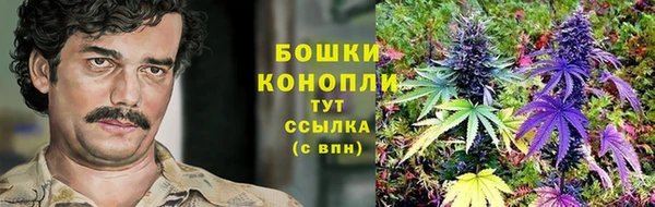 винт Магас
