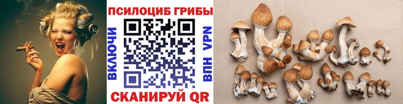 Псилоцибиновые грибы Magic Shrooms  купить наркоту  Мамоново 